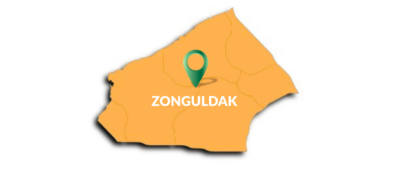 Zonguldak Merkez Kombi Servisi, Petek Temizliği