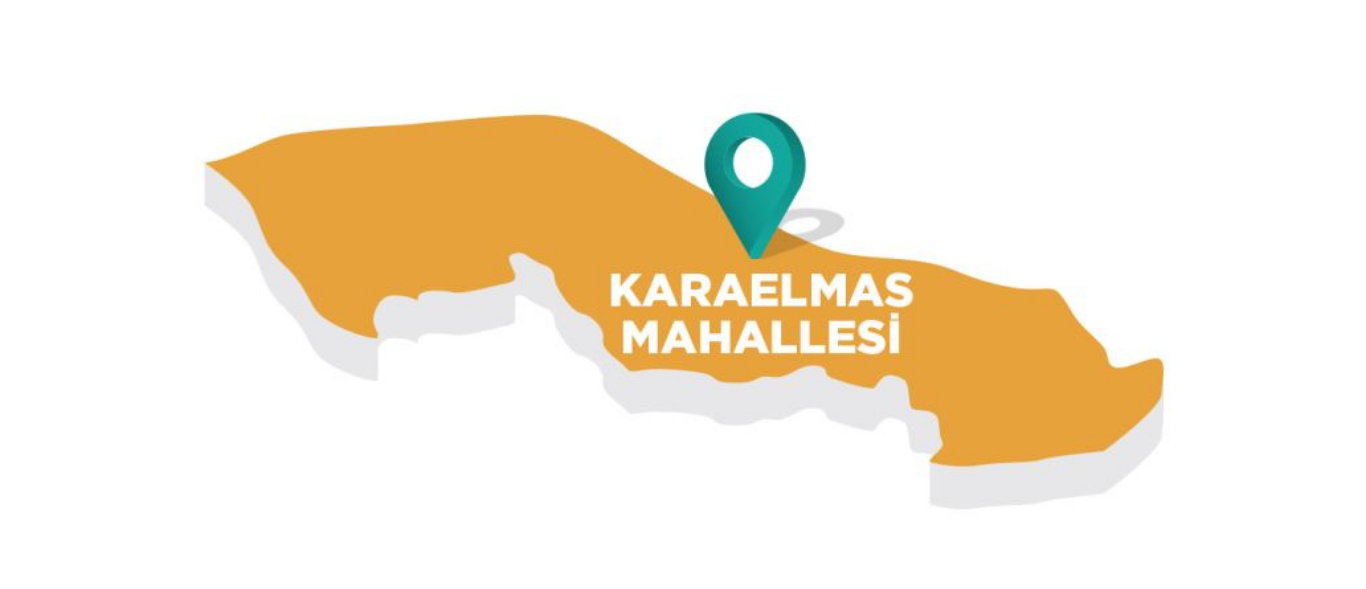 Zonguldak Karaelmas Kombi Servisi, Petek Temizliği